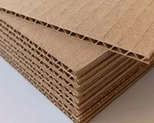 WhatsApp Image 2025-02-25 at 20.16.38