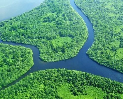 WhatsApp Image 2025-02-25 at 20.20.10